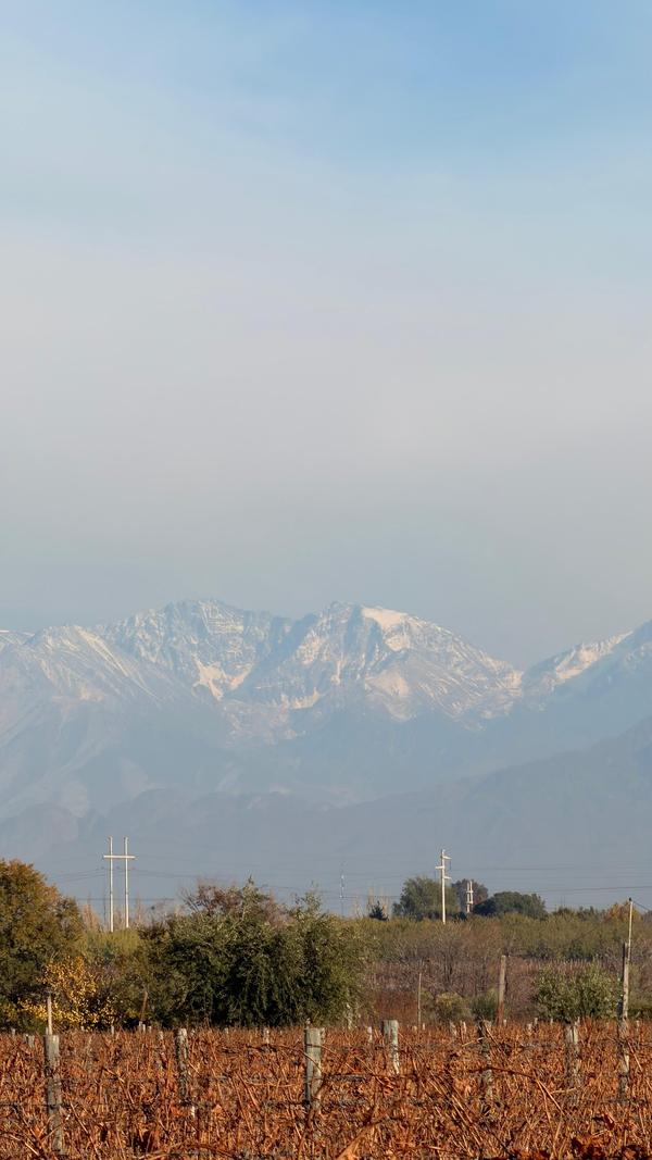 Vinhedos de Mendoza com a cordilheira nevada ao fundo, Grand Tour Andino de maio de 2026.