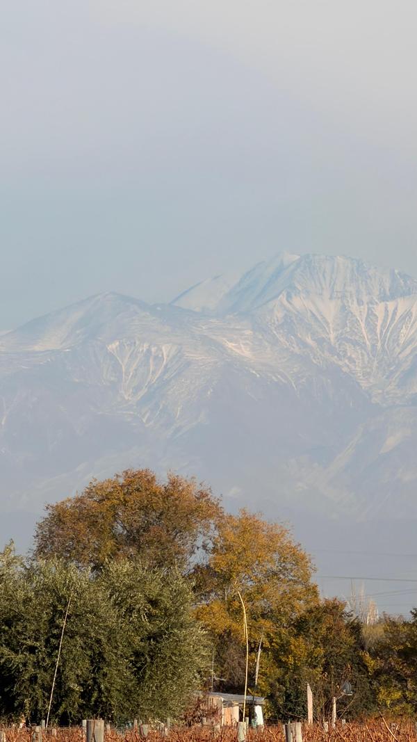 Cordilheira nevada vista dos vinhedos de Mendoza, no Grand Tour Andino de maio de 2026.