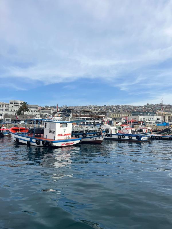 Valparaiso, barcos de pesca no porto na caravana Grand Tour Andino