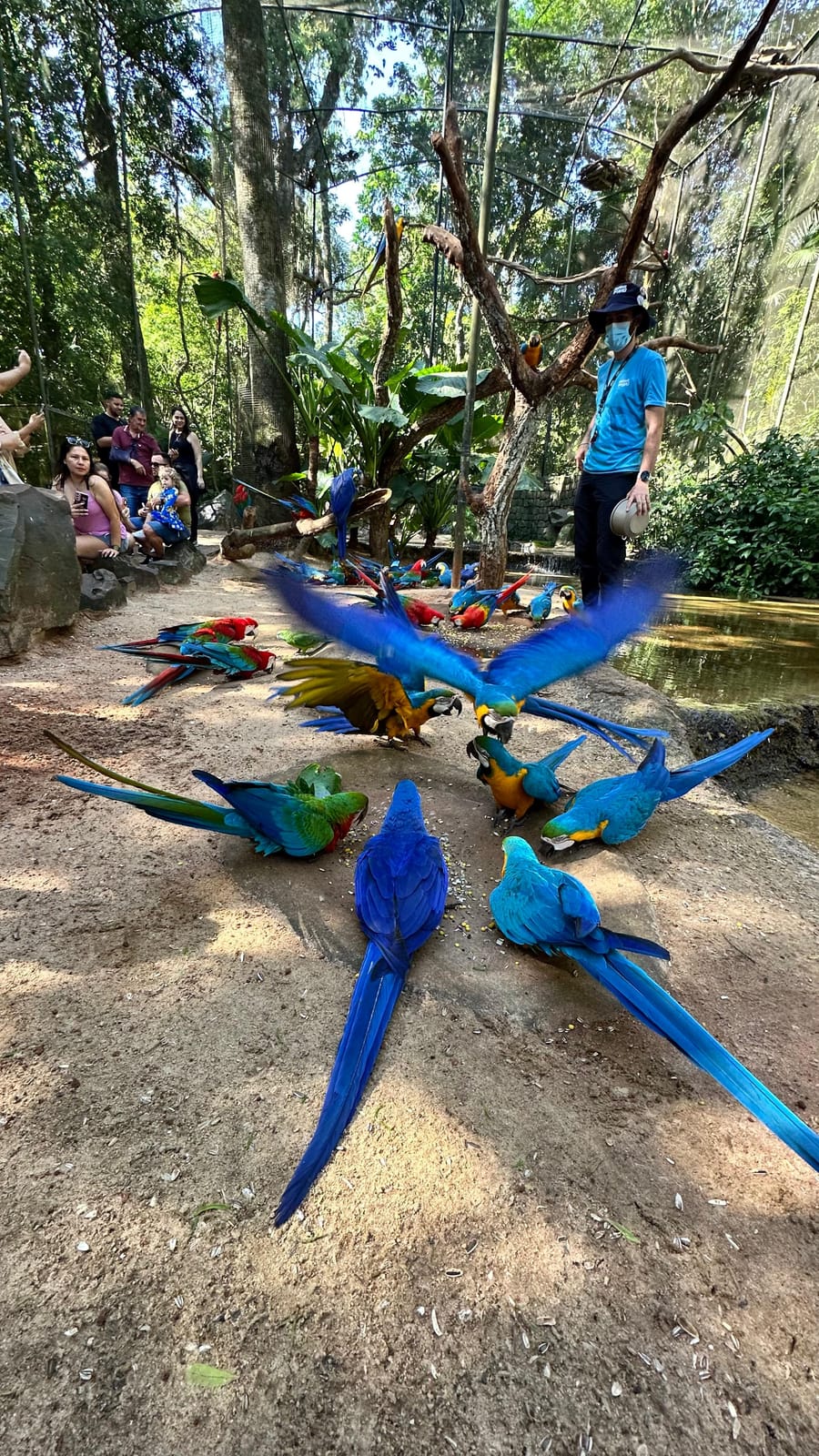 Setembro 2026: Pantanal, Bonito e Foz