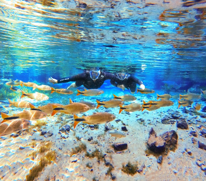 Foto da viagem Setembro 2026: Pantanal, Bonito e Foz