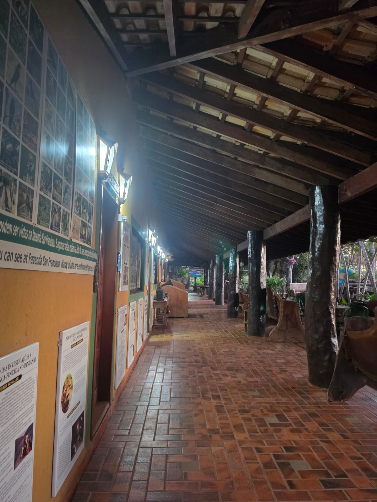 Foto da viagem Setembro 2026: Pantanal, Bonito e Foz