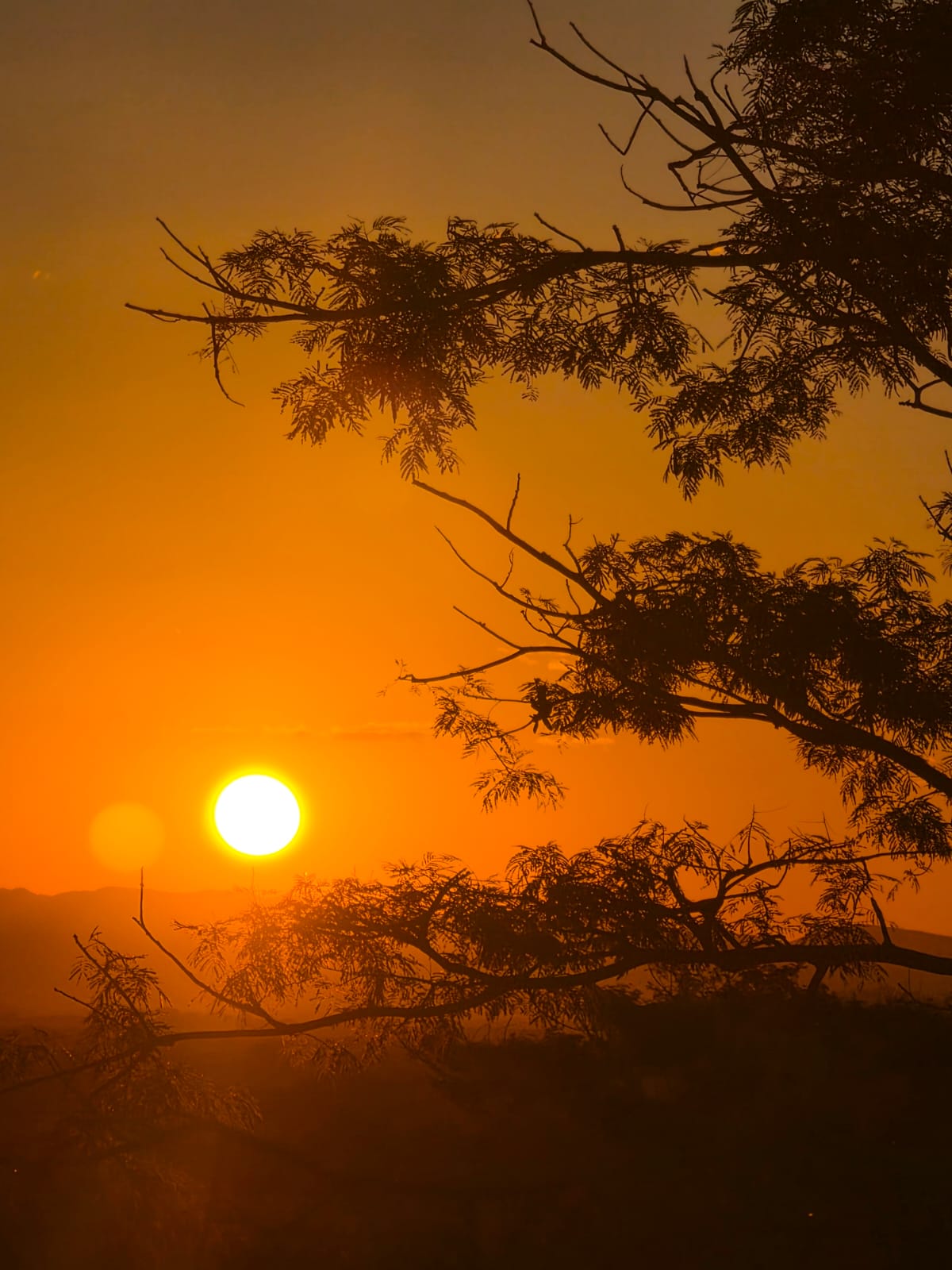 Foto da viagem Setembro 2026: Pantanal, Bonito e Foz