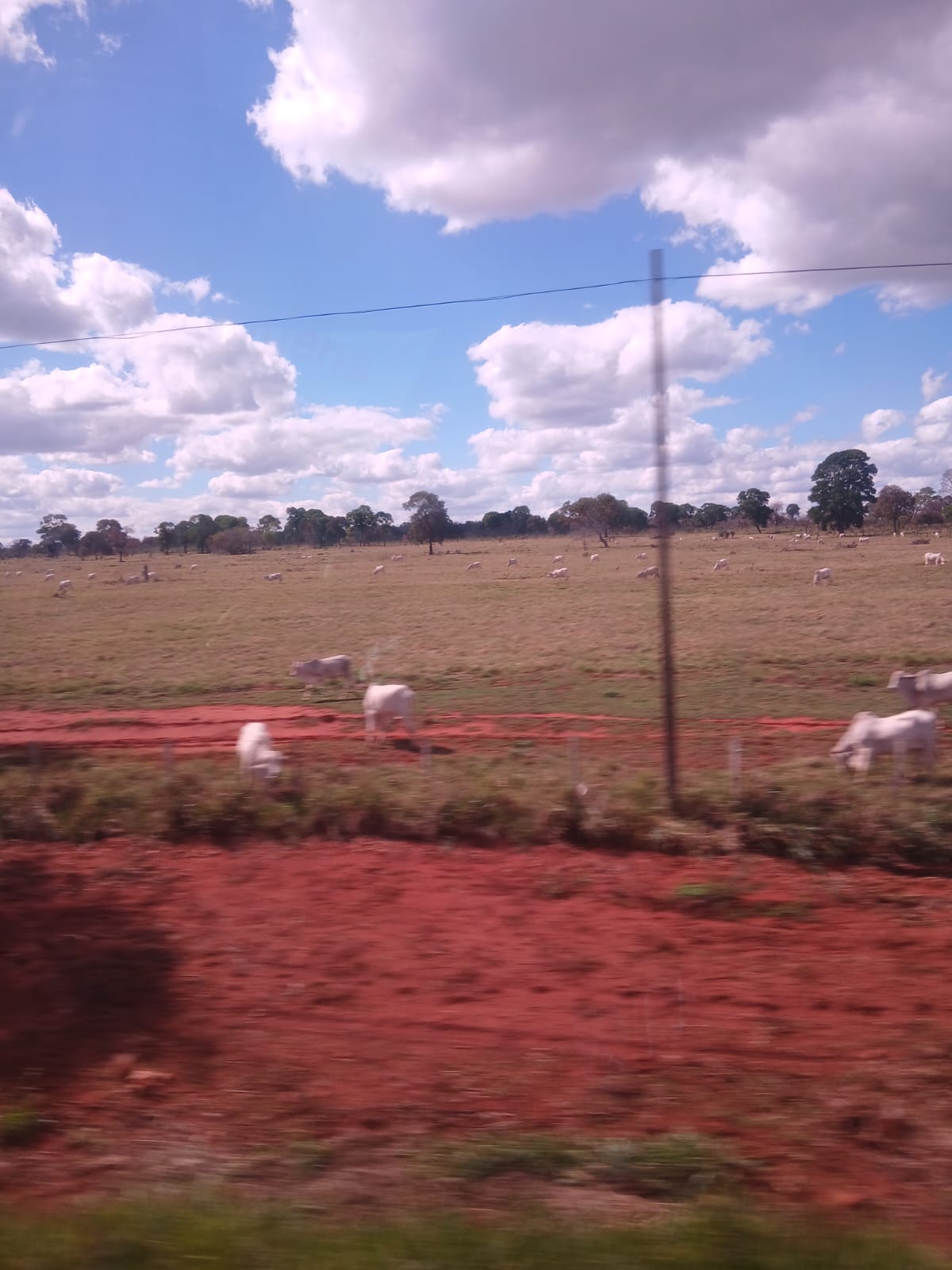 Foto da viagem Setembro 2026: Pantanal, Bonito e Foz