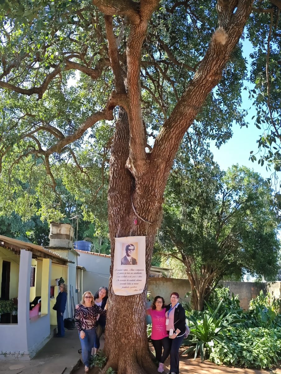 Grupo em exterior ensolarado sob árvore grande, paisagem com vegetação