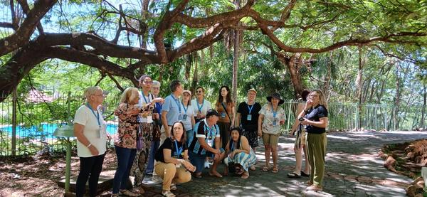Grupo reunido sob arvore frondosa proximo a uma piscina em jardim