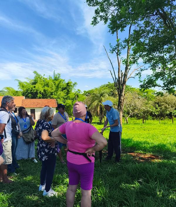 Grupo reunido em campo verde ouvindo explicacao ao lado de arvore seca