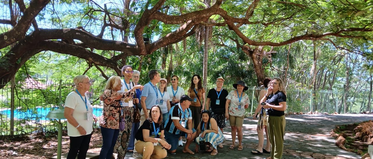 Grupo em sombra de árvore centenária, pessoas em círculo, paisagem verde ao fundo, composição nítida e balanceada