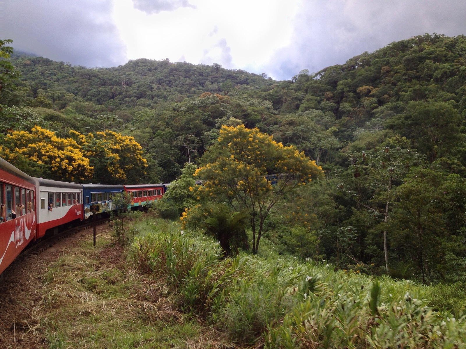 Curitiba, Morretes e Ilha do Mel: o passeio de trem pela Serra do Mar