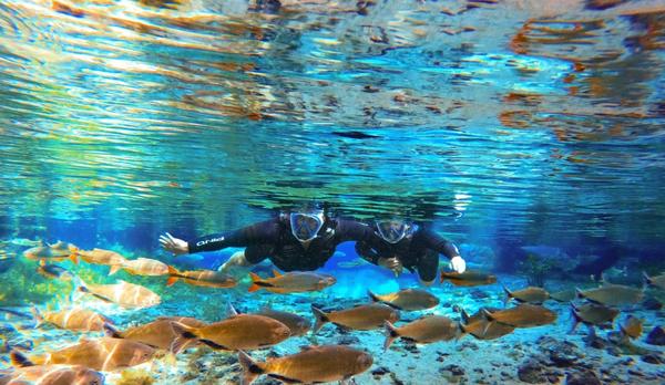 Flutuacao em aguas cristalinas de Bonito, na Caravana Pantanal de outubro de 2025.