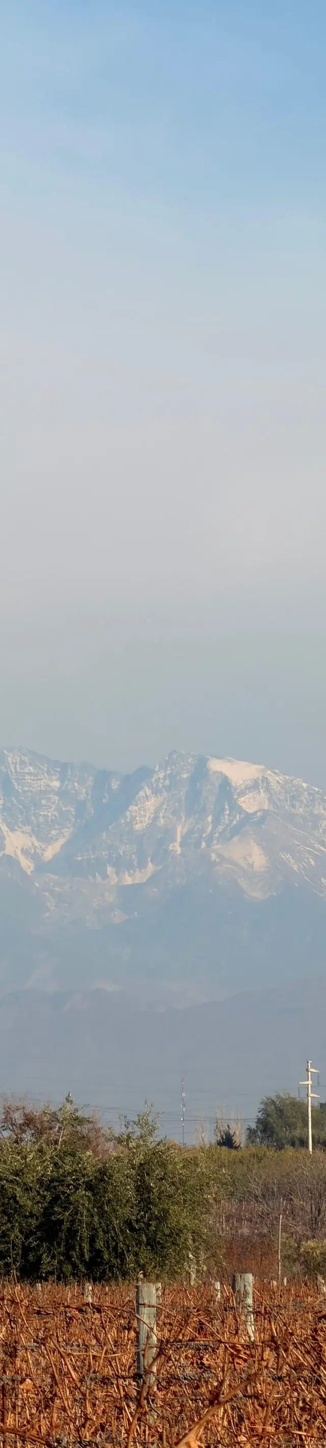 Vinhedos de Mendoza com a cordilheira nevada ao fundo, Grand Tour Andino de maio de 2026.