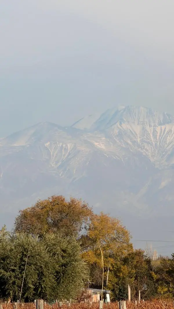 Cordilheira nevada vista dos vinhedos de Mendoza, no Grand Tour Andino de maio de 2026.