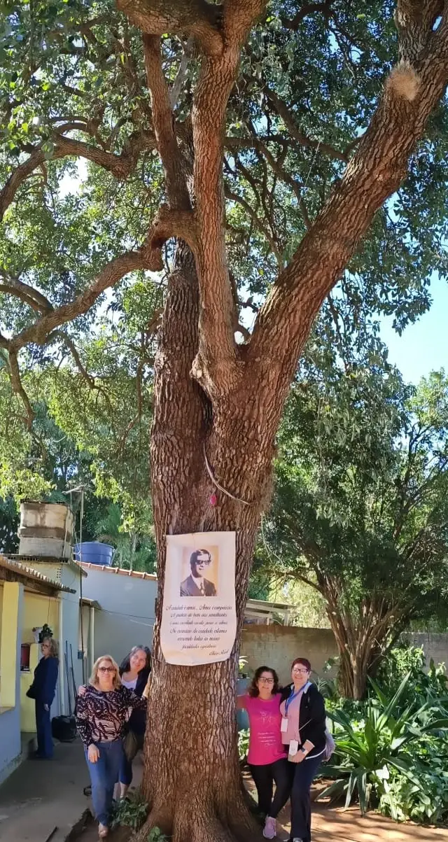 Grupo em exterior ensolarado sob árvore grande, paisagem com vegetação