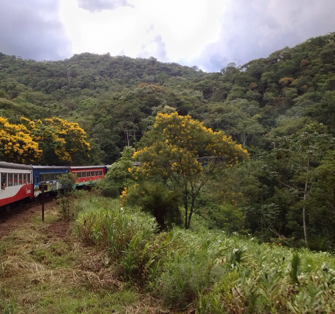 Curitiba, Morretes e Ilha do Mel: o passeio de trem pela Serra do Mar