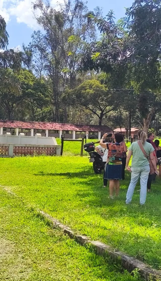 Grupo grande em jardim ensolarado em frente a pousada histórica